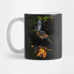 Autumn Waterfall Mug